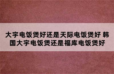 大宇电饭煲好还是天际电饭煲好 韩国大宇电饭煲还是福库电饭煲好